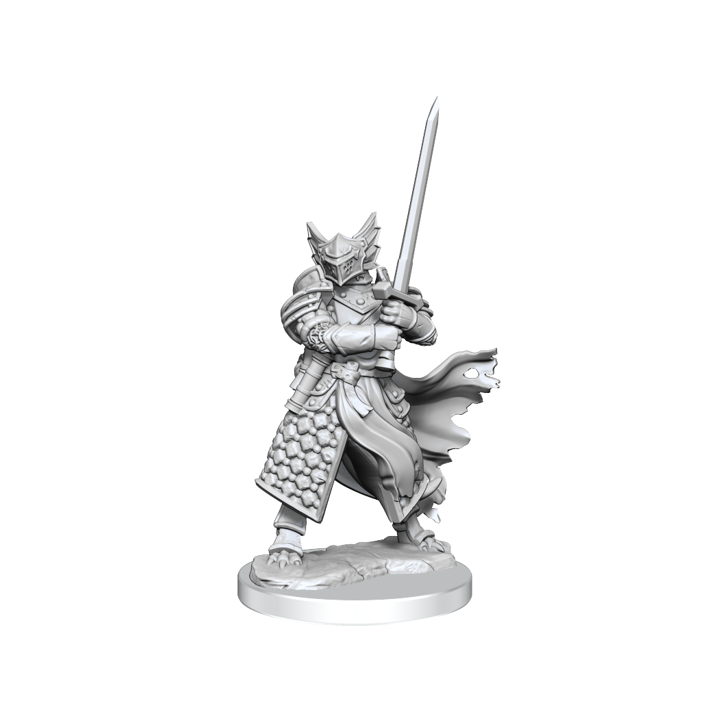 D&D Frameworks Dragonborn Paladin Male