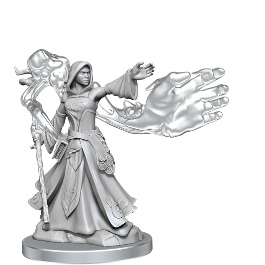 D&D Frameworks Elf Wizard Female