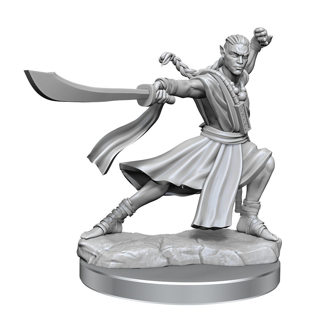 D&D Frameworks Elf Monk Male