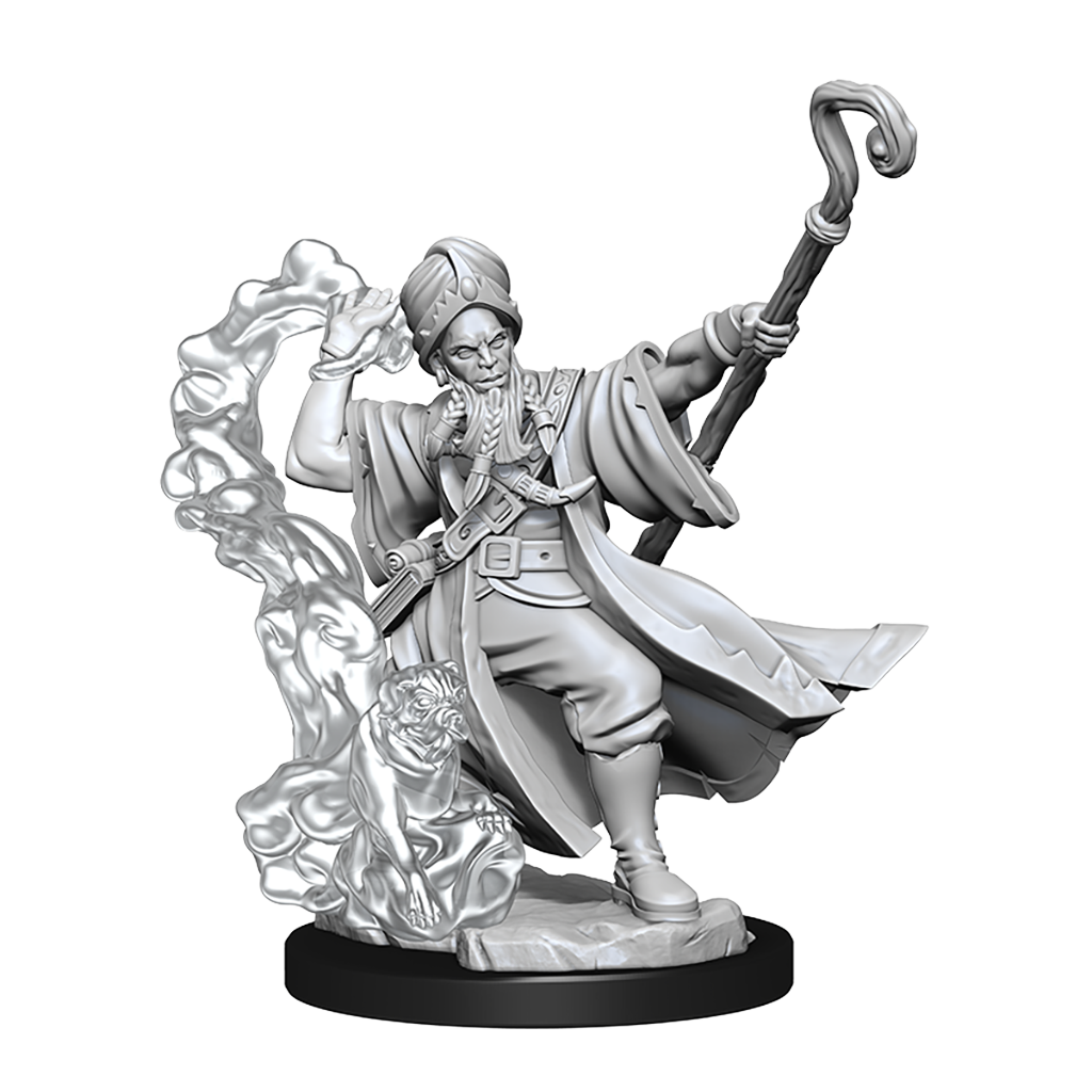 D&D Frameworks Human Wizard Male