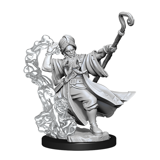 D&D Frameworks Human Wizard Male