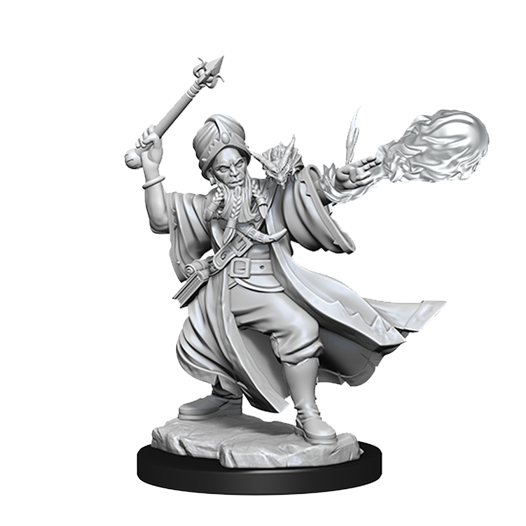 D&D Frameworks Human Wizard Male