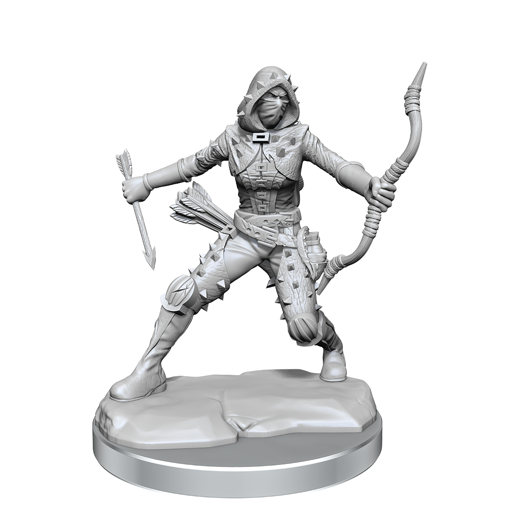 D&D Frameworks Human Rogue Female