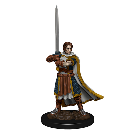 D&D Premium Painted Figures Human Cleric Male