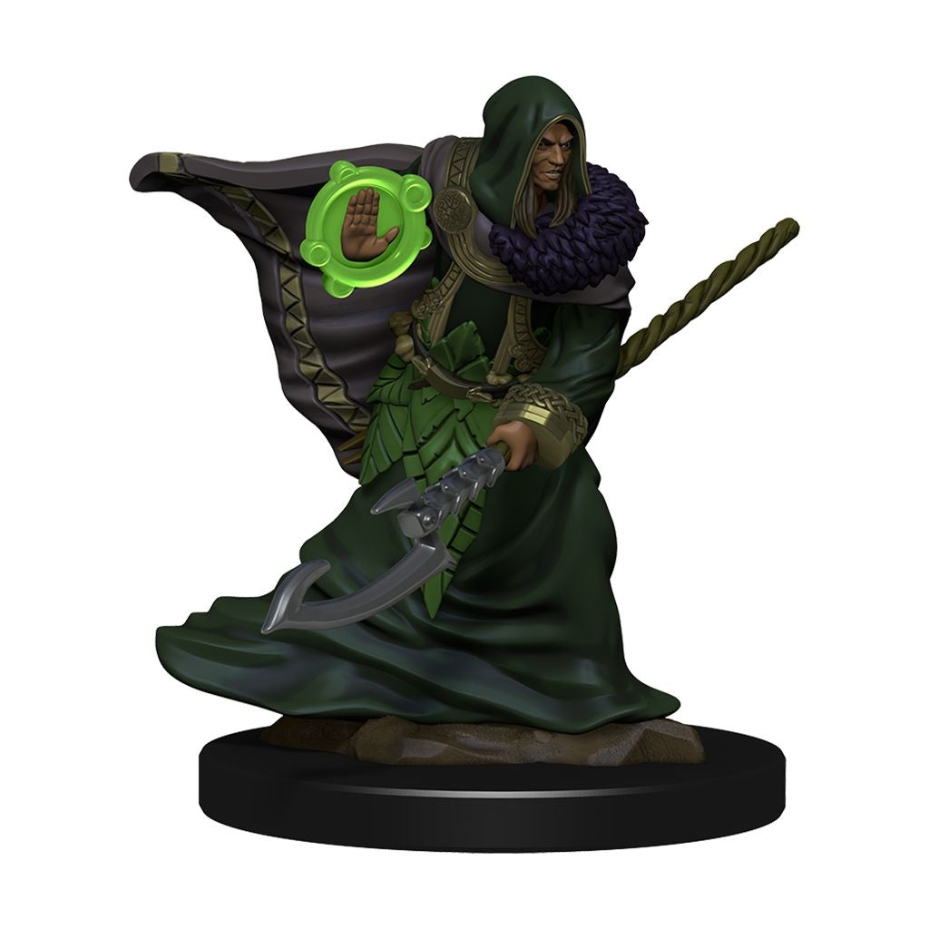 D&D Premium Painted Figures Elf Druid Male